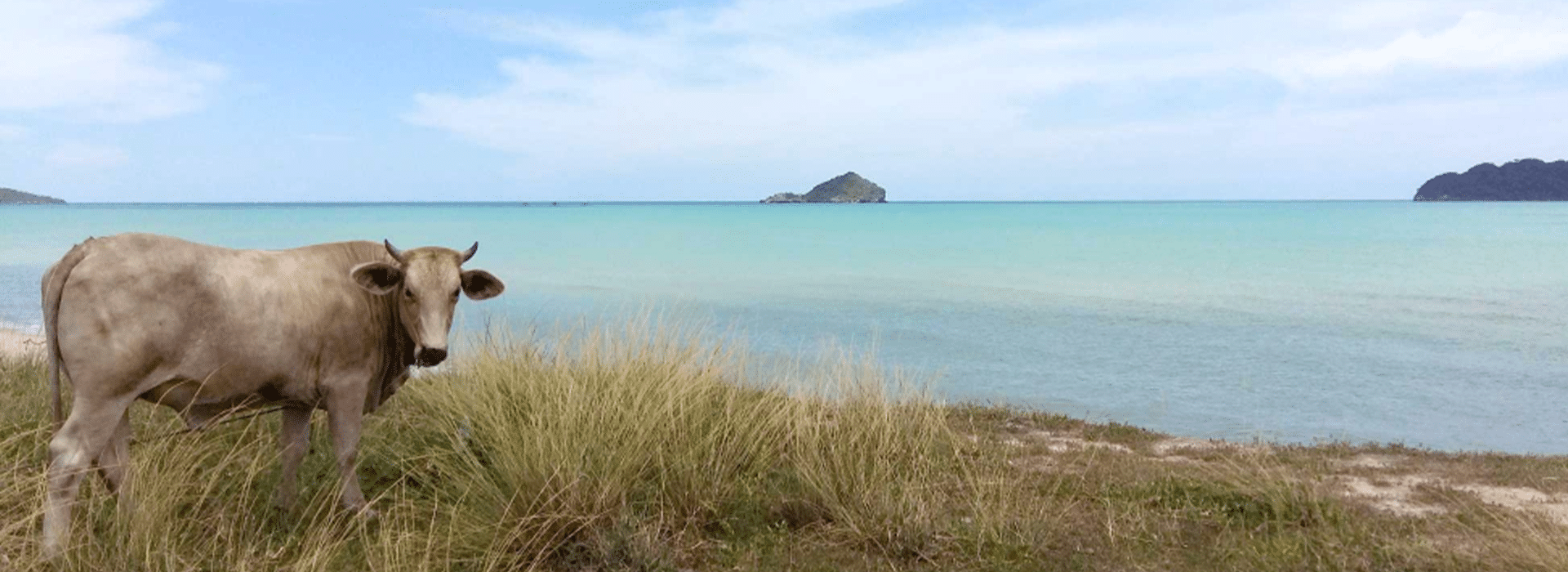 10 reasons to bicycle along the Royal Coast of Thailand